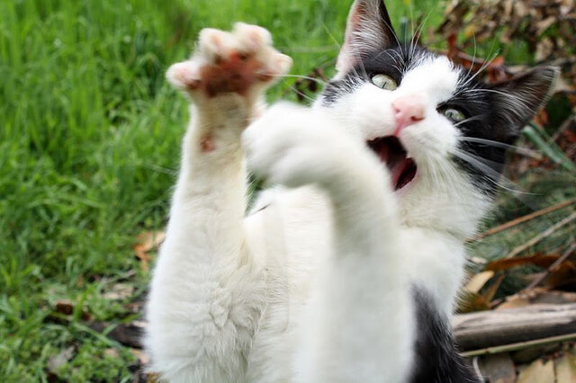 铁骑踏燕京，当小贾伦的封盖成为北京不眠夜的休止符