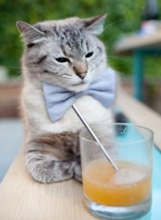 雄鹿双线奏凯，团队碾压活塞，克莱制造杀伤引擎轰鸣