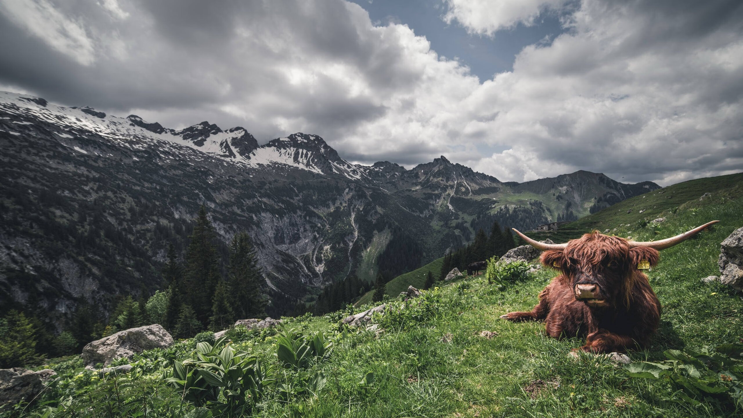 跨界对话，当费城76人遇上浙江男篮，戈贝尔在最后一秒重新定义关键先生