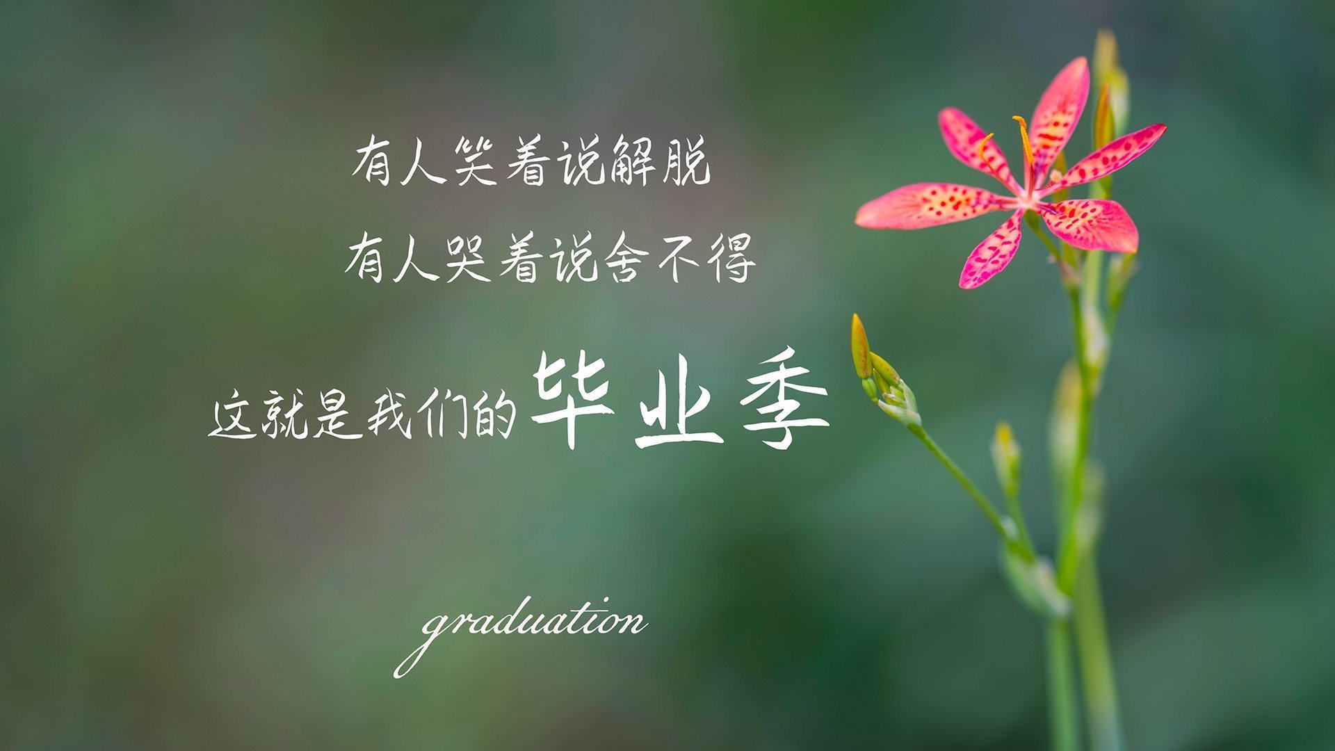 波斯铁骑的涅槃,当德容的橙衣基因,铸就亚洲之光的唯一胜利