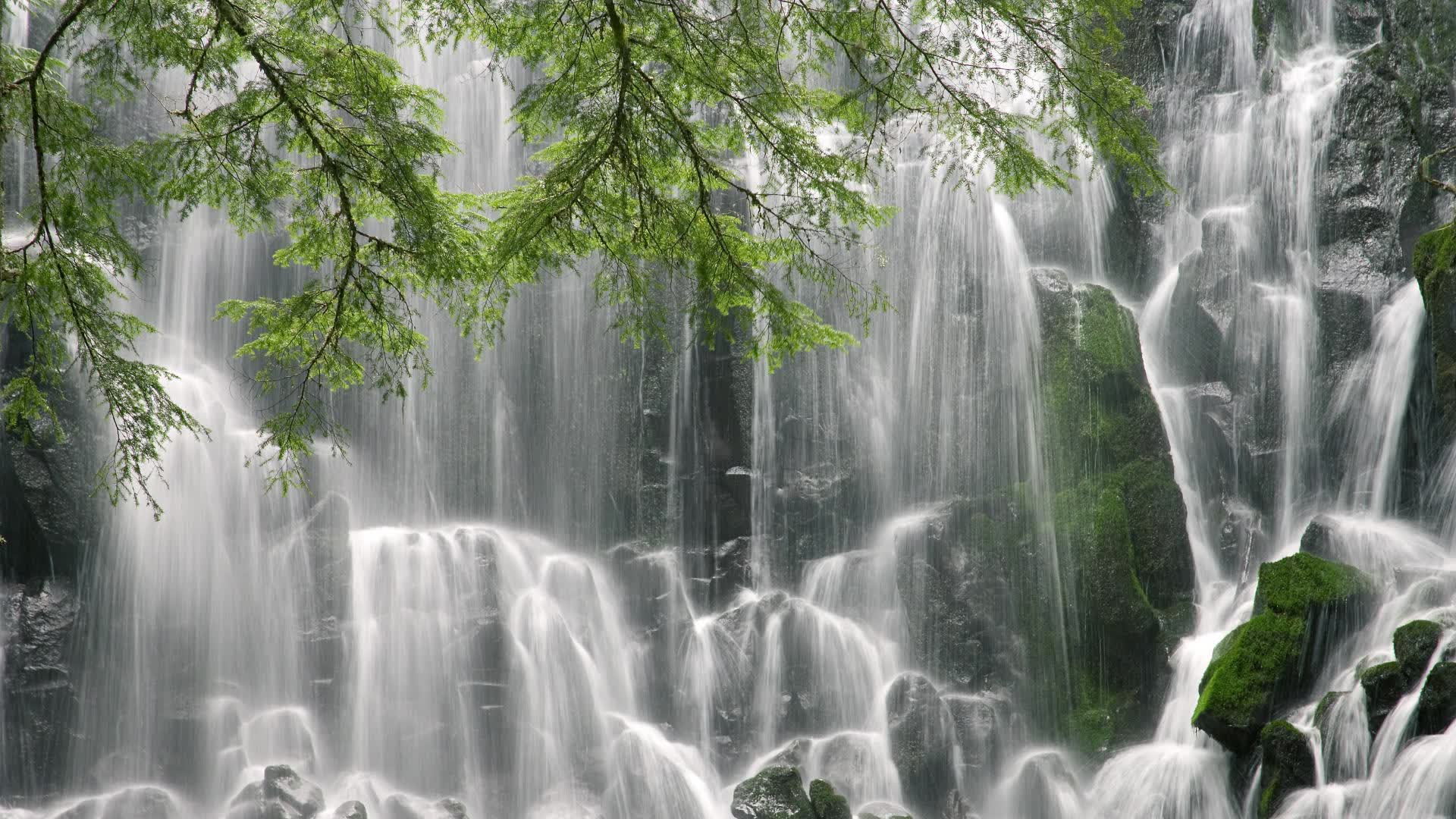 中亚雄鹰的涅槃,当唯一性写下F组最冷门的史诗