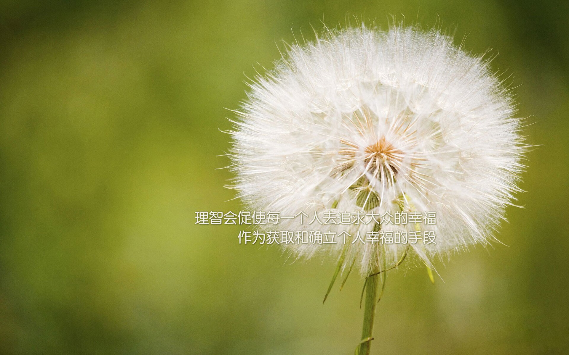 被遗忘的战场,当墨西哥的假摔未能骗过命运,孙兴慜用亚洲的脊梁扛起整个A组