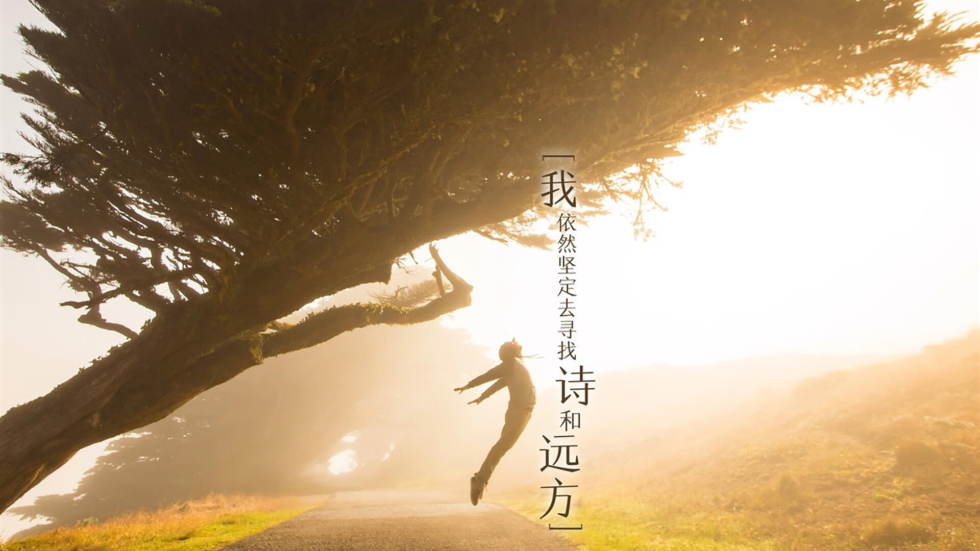 E组狂飙，瑞士战车碾压伊拉克，德布劳内上演魔术师独舞