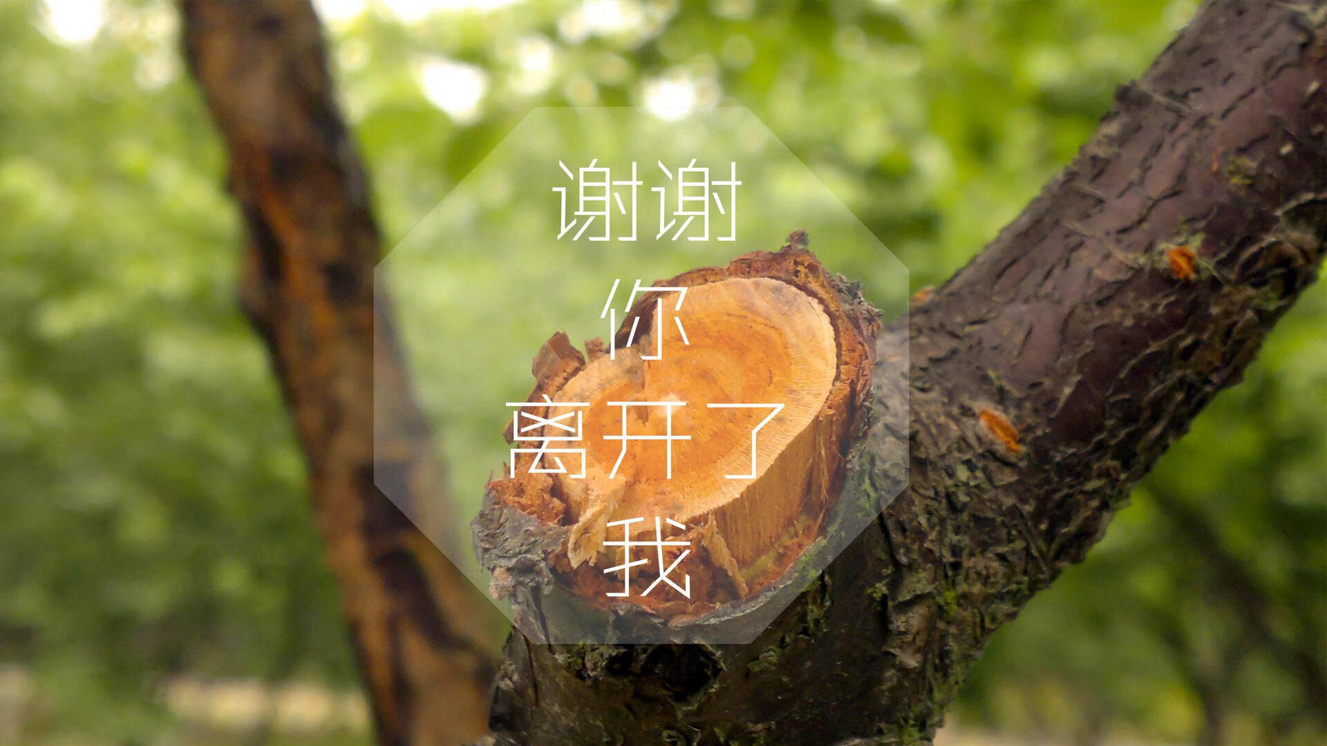 血色黄昏,莱万多夫斯基的封神一役,波兰逆天改命,加纳的铁血童话止步于王座之前